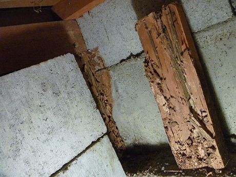 ホームトータル消毒 玄関の束の白蟻被害