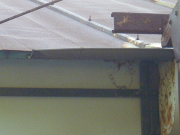 ホームトータル消毒 倉庫の軒下のキイロスズメバチ